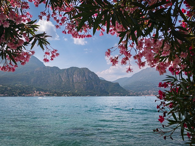Free Flowers Lake photo and picture