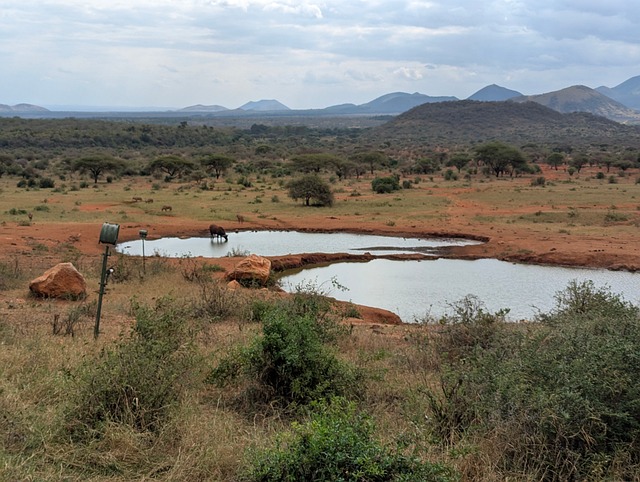 Free Nature Waterhole photo and picture