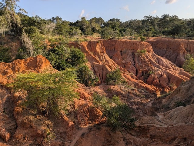 Free Kenya Nature photo and picture