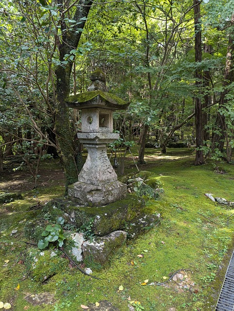 Free Lantern Japanese Garden photo and picture