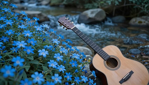 Gitar, Natur, Blomster, Gress, Utendørs