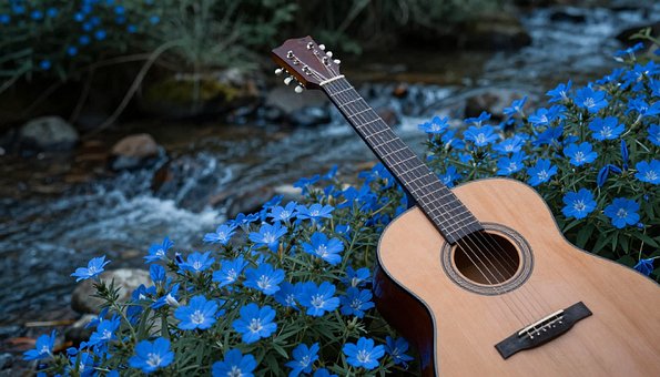 Gitar, Natur, Blomster, Gress, Bekk