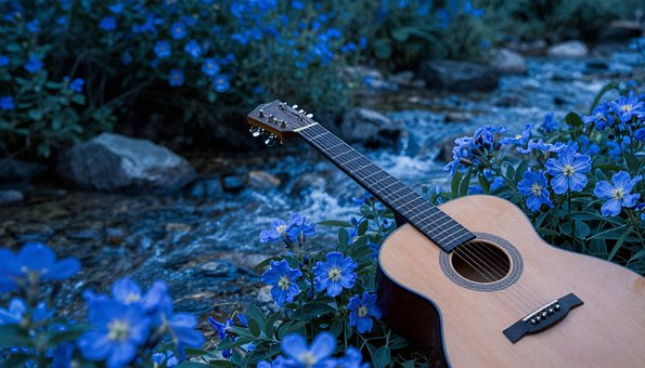 Gitar, Blomster, Bekk, Utendørs, Gress