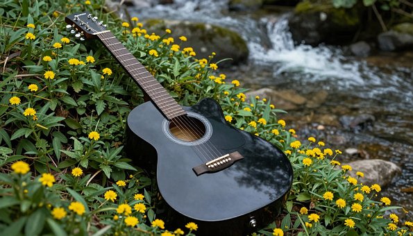Gitar, Gitar I Naturen, Blomster, Bekk