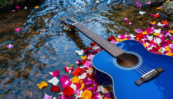 Gitar, Natur, Blomster, Bekk, Vår