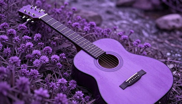 Gitar, Lilla Farge, Gitar I Naturen