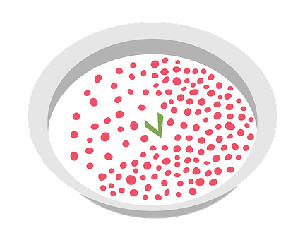 Free Bubur Mutiara photo and picture
