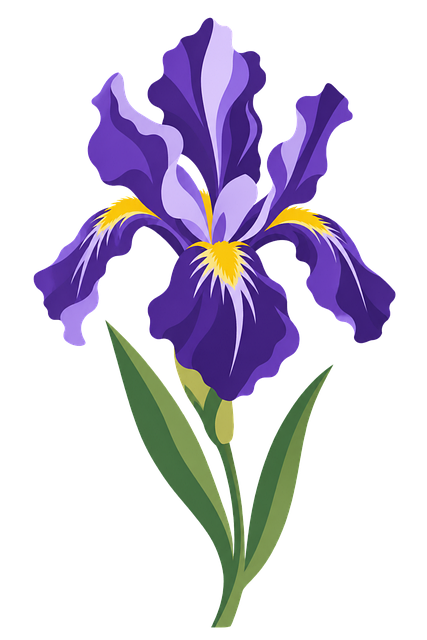 Free purple iris flower illustration