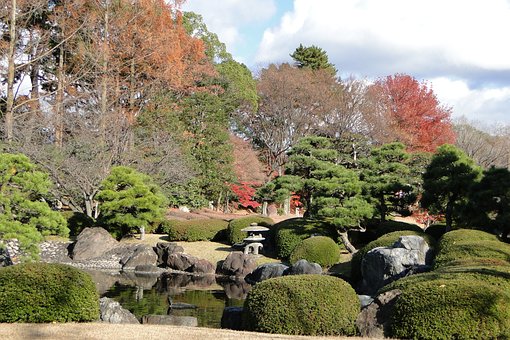 Free Japanese Garden Autumn Scene photo and picture