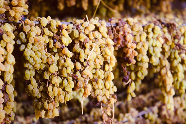 Free Raisins Grape photo and picture