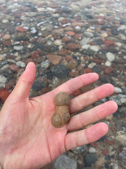 Free Funny Coast photo and picture