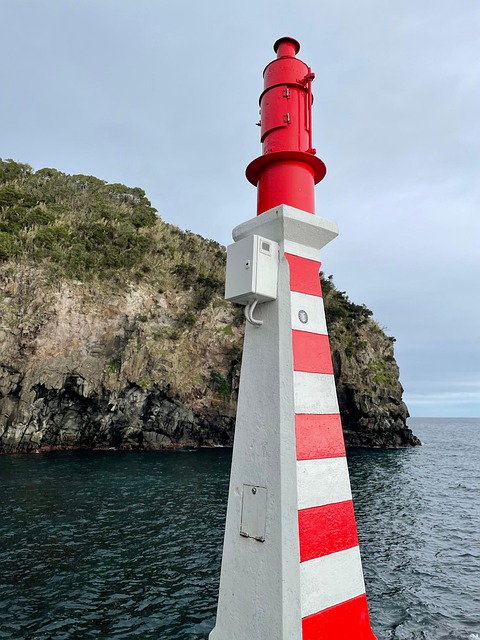 Free Lighthouse Sea photo and picture