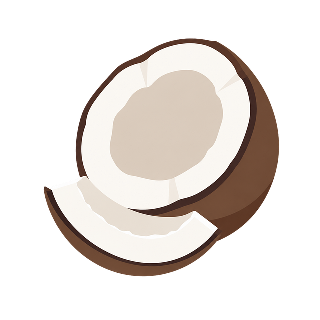 Free coconut cut coconut coconut flesh vector
