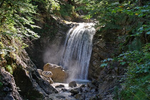 Free Waterfall Forest photo and picture