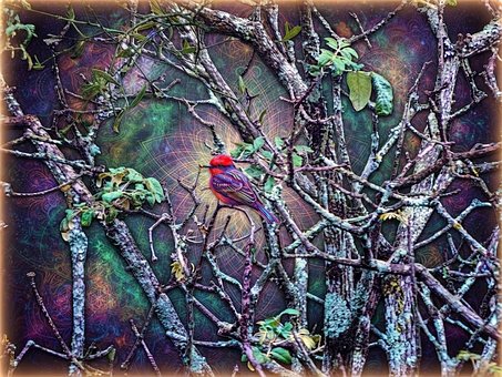 Free Bird Red illustration and picture
