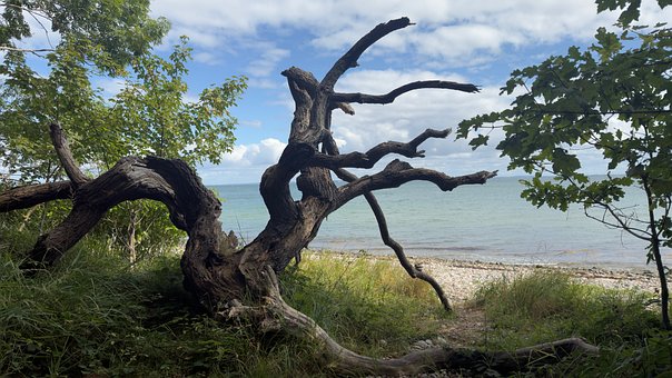 Free Coast Nature photo and picture