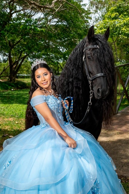Free Princess Horse photo and picture