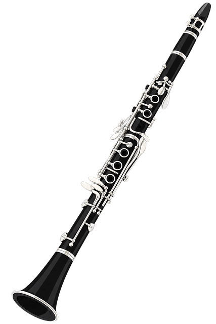 Free clarinet black silver keys illustration