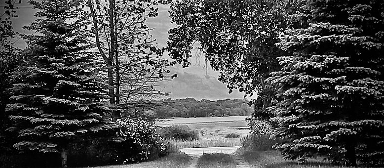 Auffahrt, Schwarzweiß, Monochrom, Natur