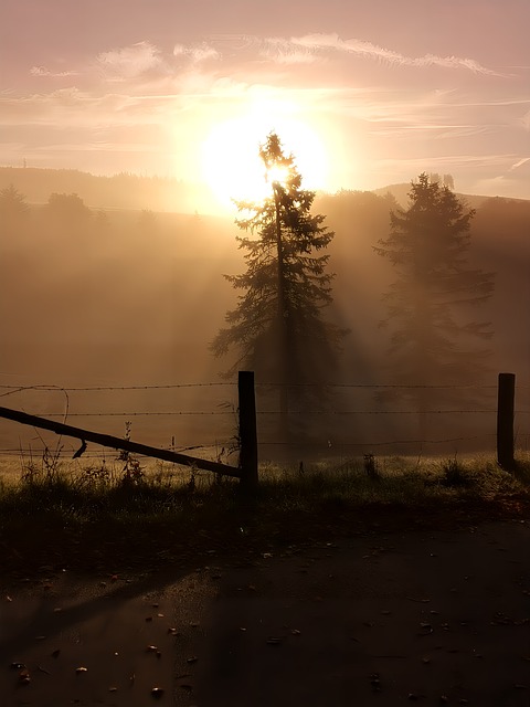 Sonnenaufgang, Natur, Landschaft, Bäume
