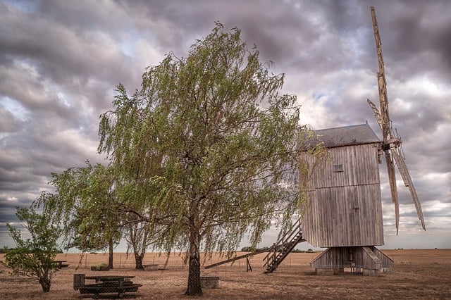 Free Windmill Tree photo and picture