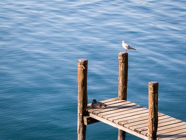 Free Lake Nature photo and picture