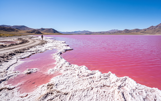Pink Sø, Salt, Skorpe, Surrealistisk