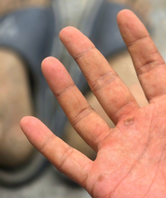 Free Hand Palm photo and picture