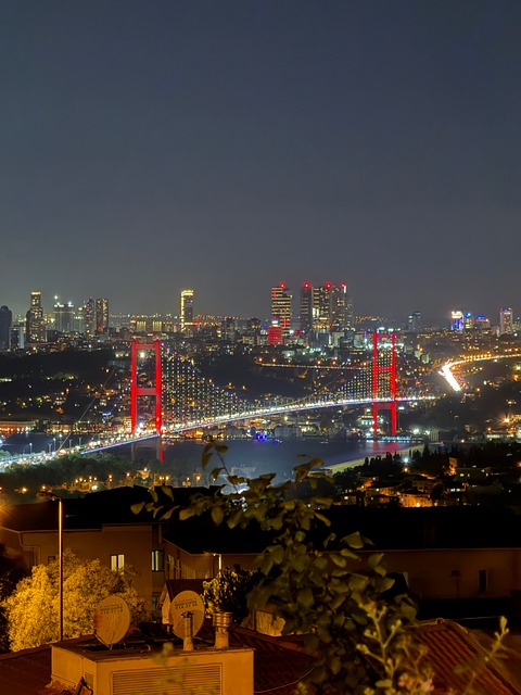 Free Istanbul Bridge photo and picture