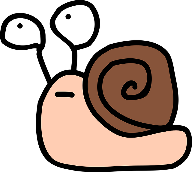 Free Snail Shell vector and picture
