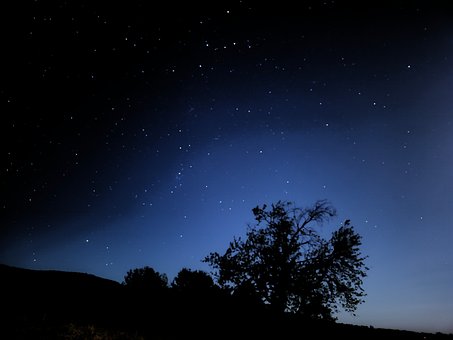Cielo Nocturno, Estrellas