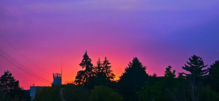 Atardecer, Árboles, Silueta, Morado