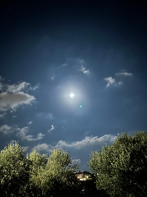 Free Moon Night photo and picture
