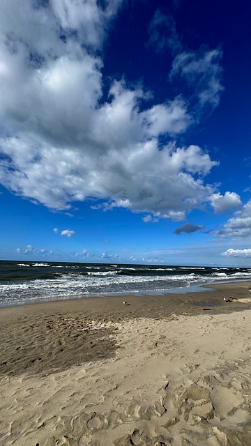 Free Beach Sand photo and picture