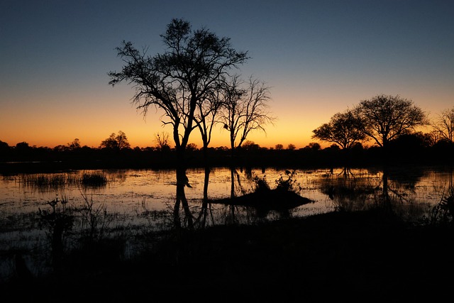 Okavango, Botswana, Afrika, Solnedgang