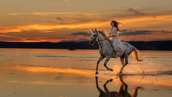 Caballo, Equitación, Lago Balaton