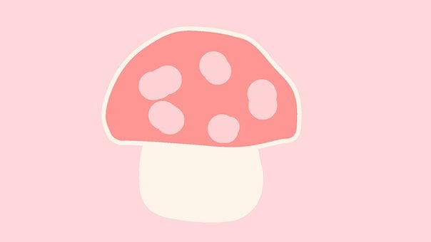 Cogumelo, Vermelho, Ilustração