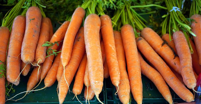 Free Carrot Organic photo and picture