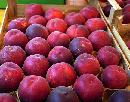 Free Peaches Fruit photo and picture