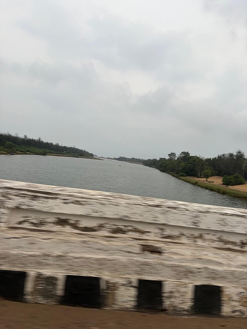 Free River Bridge photo and picture
