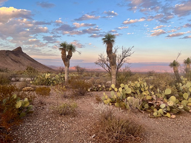 Free Big Bend National Park Texas photo and picture