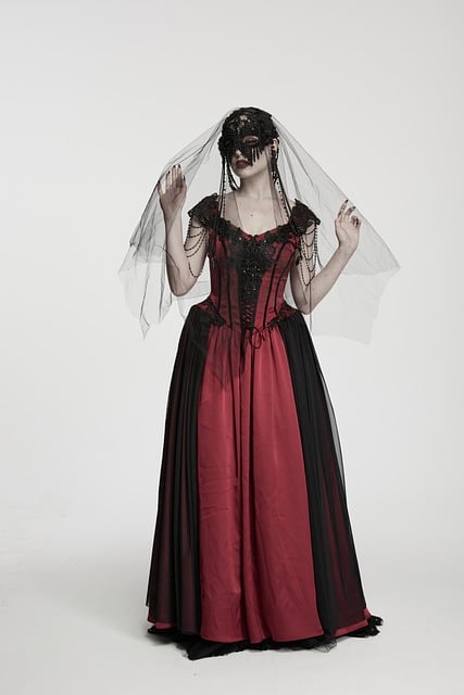 Free Gothic Fashion Woman In Veil photo and picture