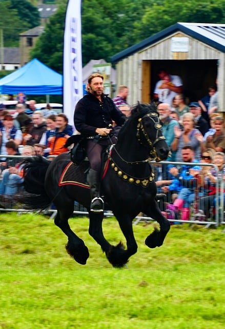 Free Horse Show Equestrian photo and picture