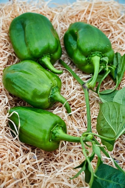 Free Vegetable Pepper photo and picture