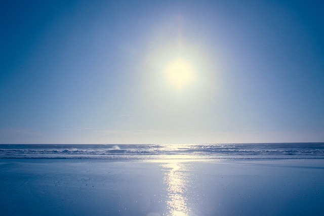 Free Coast Beach photo and picture
