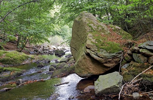 Free Forest Stone photo and picture