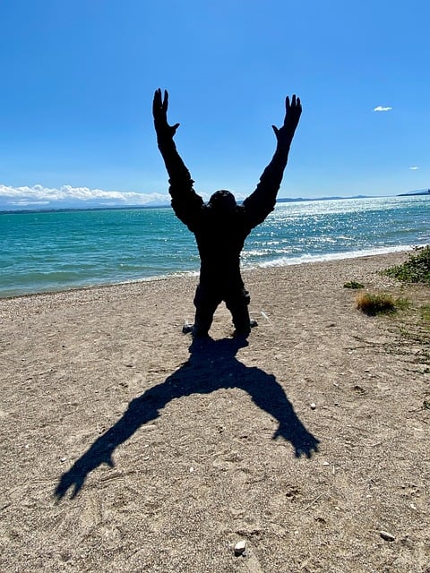Skulptur, Affe, Schatten, Strand, See