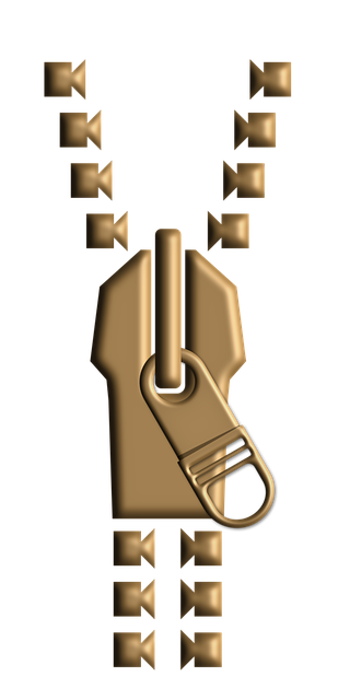 Free zipper metal open vector