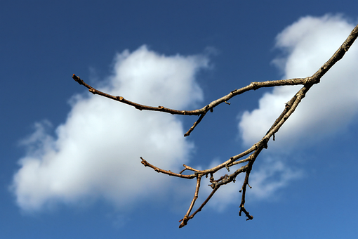 Free Sky Nature photo and picture