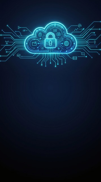 Cybersicherheit, Gesperrte Cloud